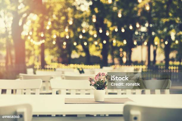 Romantic Outdoor Restaurant In Park With String Lights At Sunset Stock Photo - Download Image Now