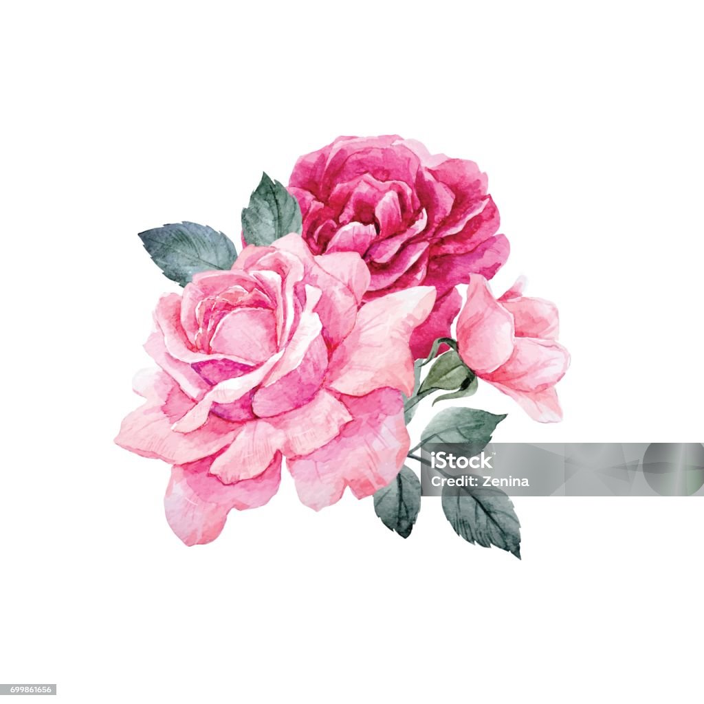 Watercolor vector roses composition Beautiful vector composition with hand drawn watercolor roses on transparent background Rose - Flower stock vector