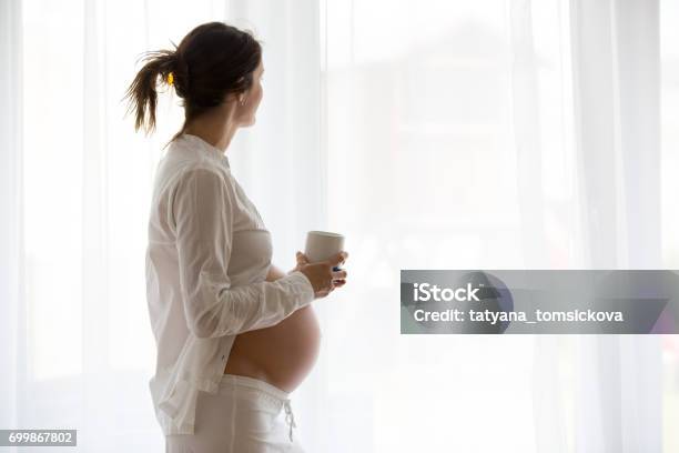 Portrait Of Young Pregnant Attractive Woman Standing By The Window Stock Photo - Download Image Now