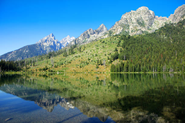 Jenny Lake and its clear water with the Grand Teton mountain range in the background. Wide angle shot.