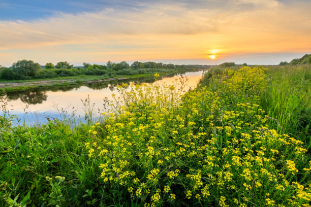 istock Sunset above the river at summer with cloudy sky background. 699878738