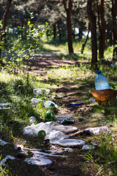 istock Pile of garbage on green grass 699896372