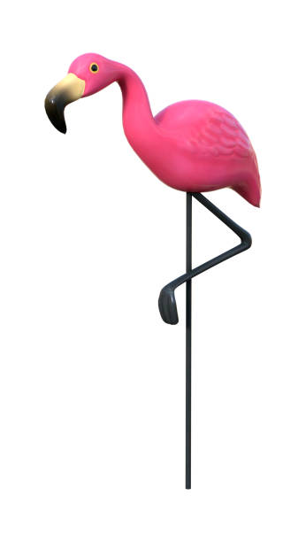 istock 3D Rendering Pink Flamingo on White 699906010