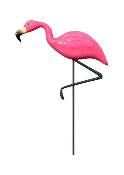 istock 3D Rendering Pink Flamingo on White 699906046