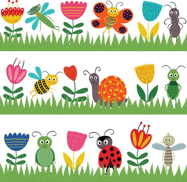 set of isolated borders with funny insect vector art illustration