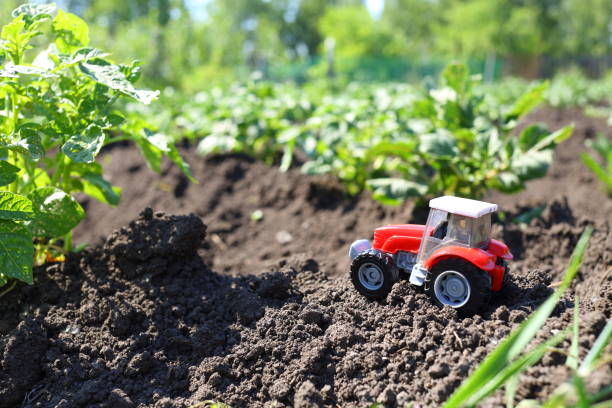 Children's tractor in a potato field