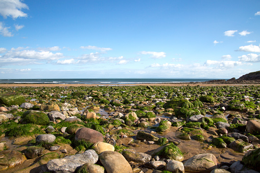 A panoramic view of the sea at Langland Bay on the Gower Peninsula with seaweed and rocks