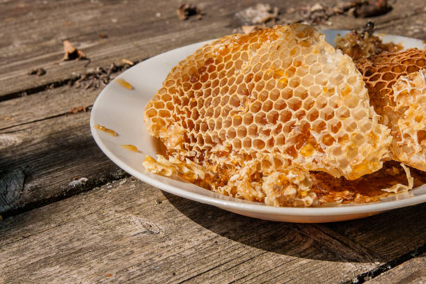 istock White plate with section of wax honeycomb from beehive 699974306