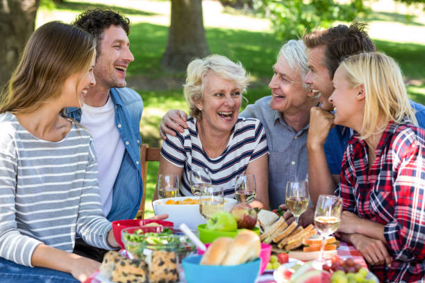 istock Friends having a picnic 699975016