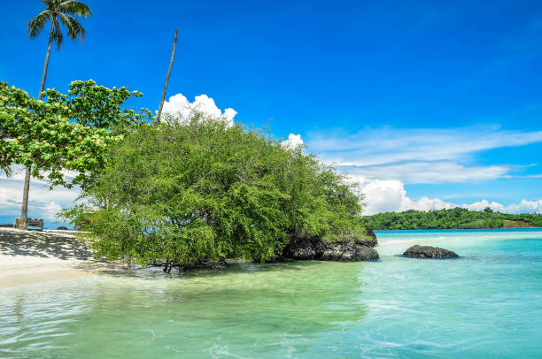 istock Tropical shore and green vegetation with blue sky 699975248