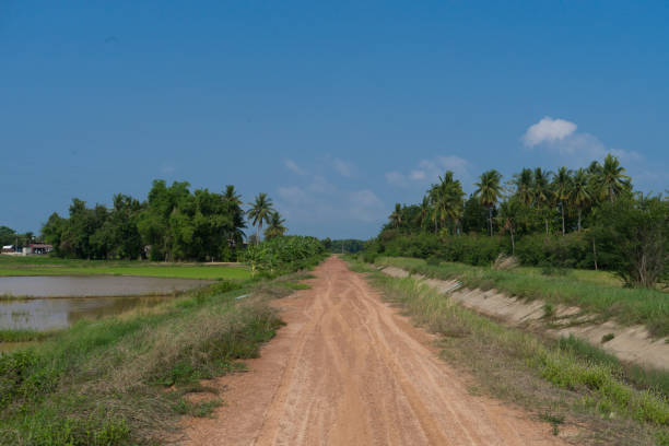 istock countryRough road with blue sky 699986860