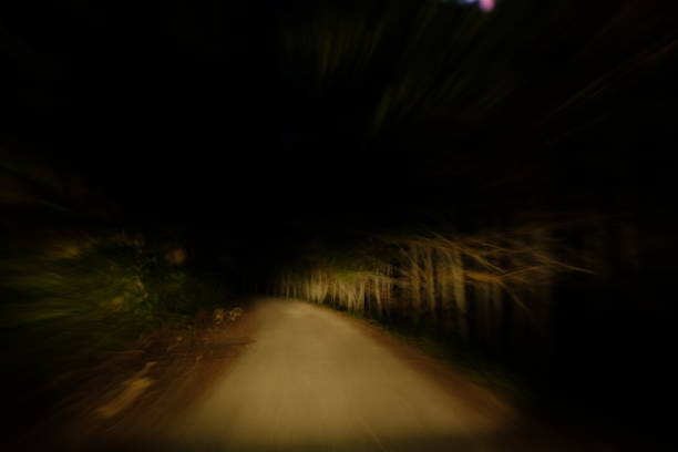 istock At night in the woods 699996784