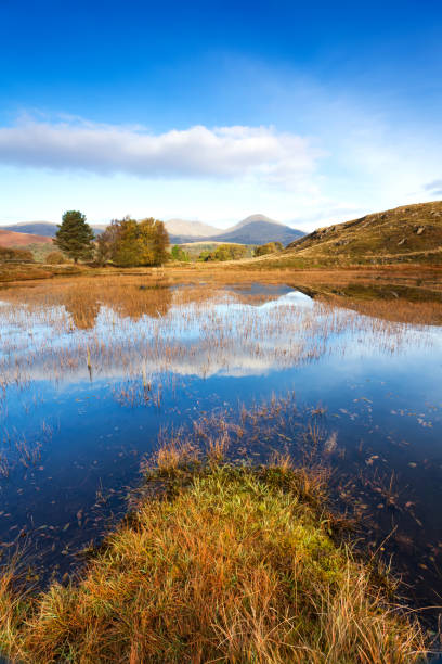 istock Tranquil Scene - English Lake District 699997796