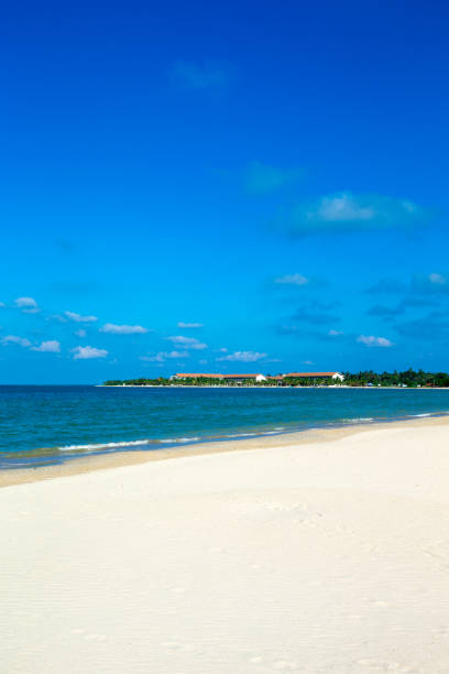 istock beautiful beach and tropical sea 699998668