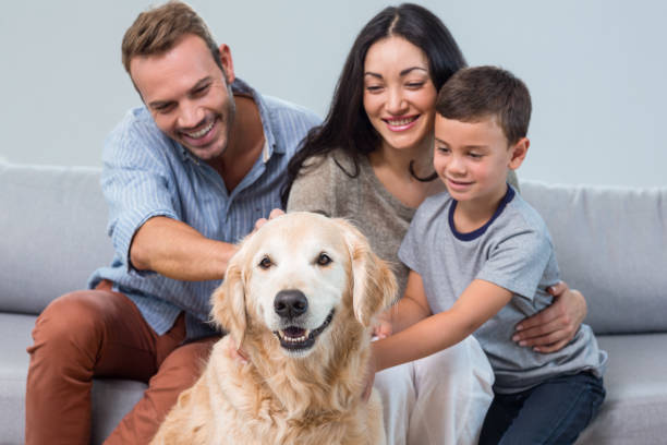 istock Parents and son petting dog 700069958