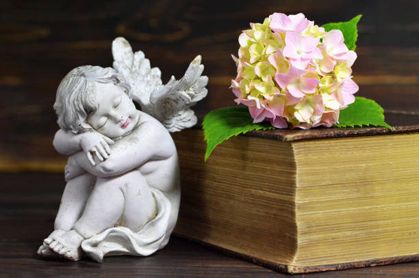 istock Angel, flower and closed book 700074376