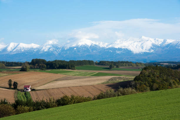 istock Snowy Mountains and Autumn Land 700076982