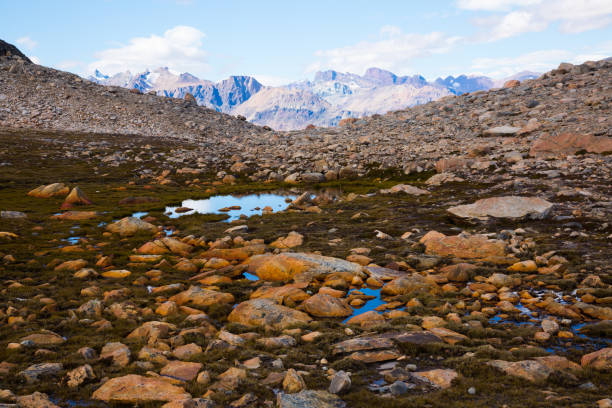 glaciers and mountains fitz roy, cerro torre - foothills parkway imagens e fotografias de stock