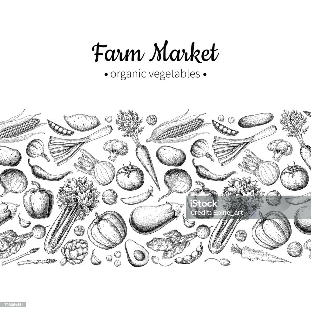 Vegetable hand drawn vintage vector illustration. Farm Market poster. Vegetable hand drawn vintage vector illustration. Farm Market poster. Vegetarian set of organic products. Detailed food drawing. Great for menu, banner, label, flyer Engraving stock vector