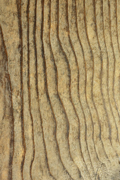 istock texture of fir plank 700110272