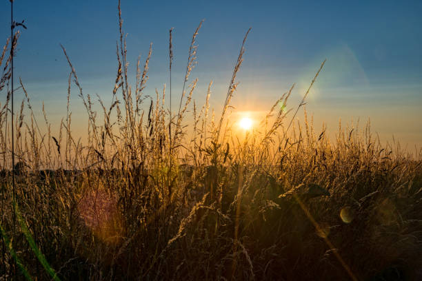 istock Sundown over a field at a village 700139310
