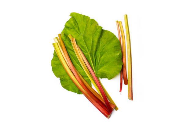Fresh rhubarb stalks on white background
