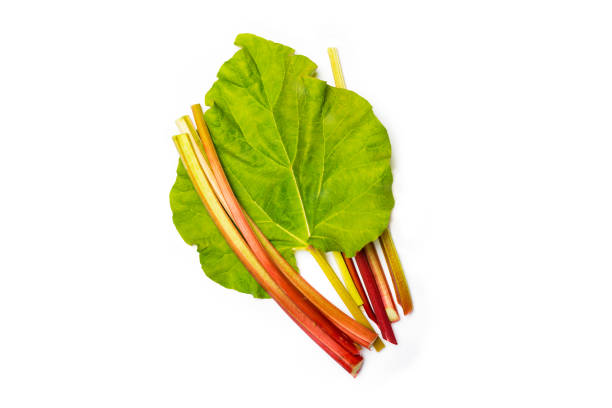 Fresh rhubarb stalks on white background