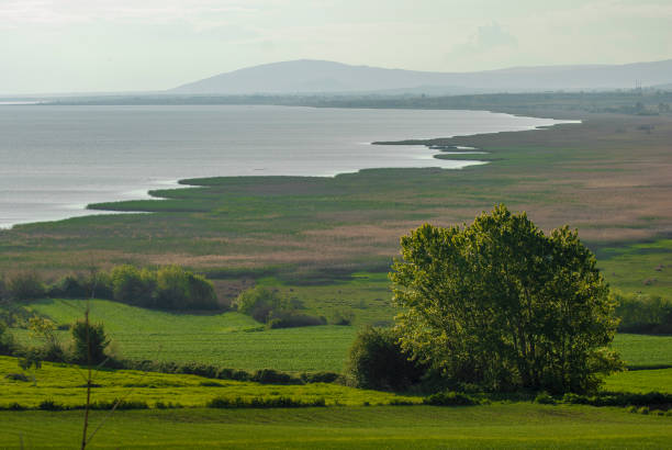istock Golyazi Lake Bursa Turkey 700165316