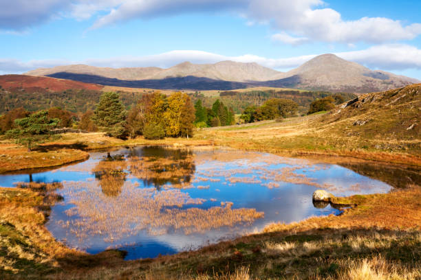 istock Autumn Morning - English Lake District 700171152