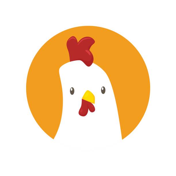 ilustraciones, imágenes clip art, dibujos animados e iconos de stock de icono de vector de pollo - chicken poultry cartoon cockerel