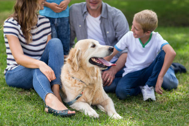istock Family with dog in the park 700185014