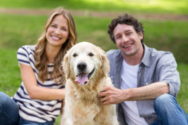 istock Couple with their dog in the park 700185146