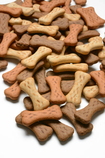istock dog biscuits in the shape of bones in white background 700187396