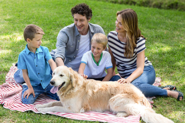 istock Family with dog in the park 700189668