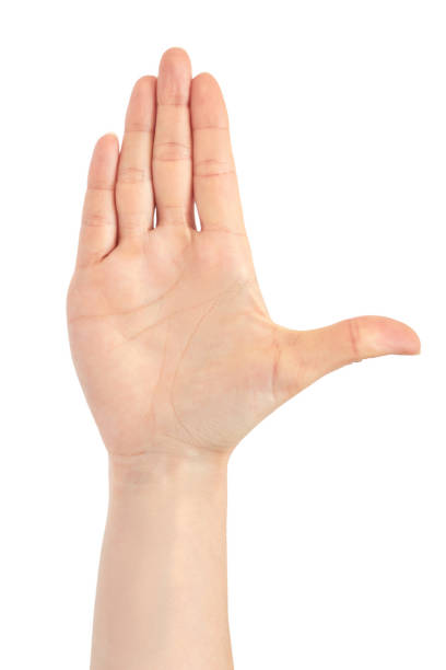 istock Beautiful female hand attention gesture. Isolated on white background 700193662