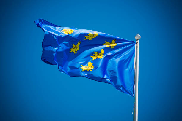 bandera de sussex en día soleado contra el claro cielo azul - sussex fotografías e imágenes de stock