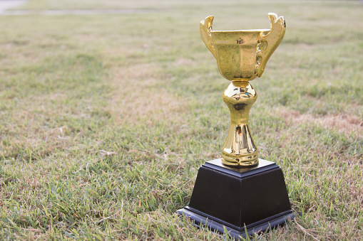 A gold cups as a reward for success or Award of achievement field background.