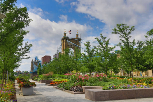 the john a. roebling bridge in cincinnati as seen from smale park - cincinnati imagens e fotografias de stock