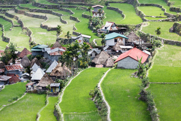 istock Batad rice field terraces in Ifugao province, Banaue, Philippines 700203516