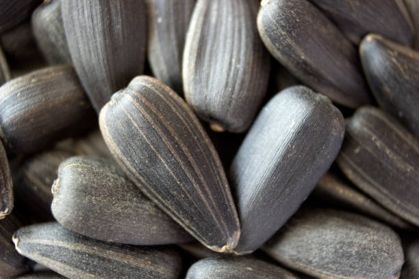 istock Black sunflower seeds close up on a table, macro 700219024
