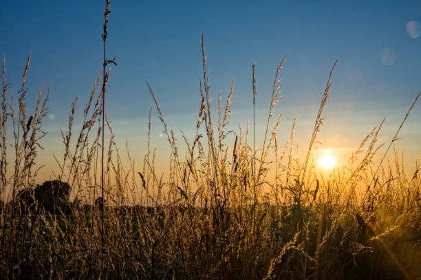 istock Sundown over a field at a village 700228816
