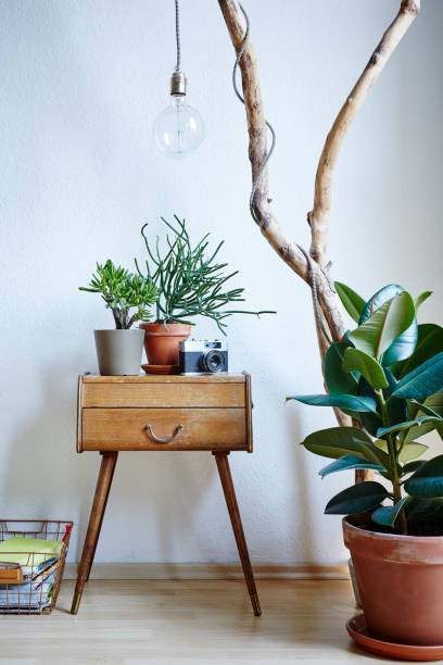 istock fresh organic urban interior design plants and individual elements 700238438