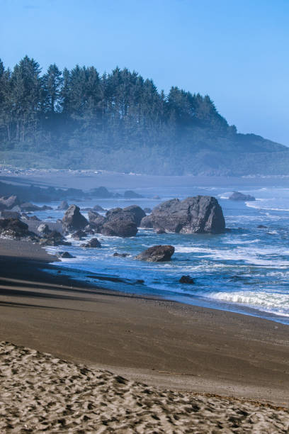 istock Northern California Coast 700250504