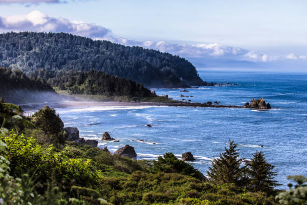 istock Northern California Coast 700250636