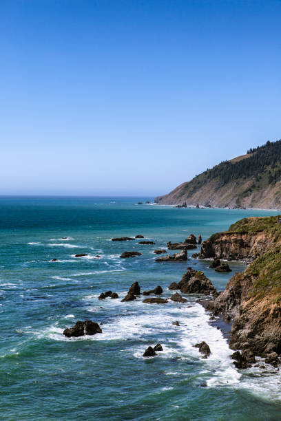 Northern California's rocky coastline.