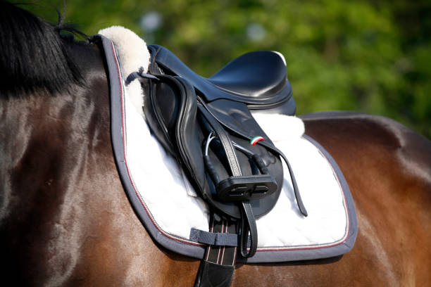 istock Beautiful sport saddle closeup on show jumping training 700253650