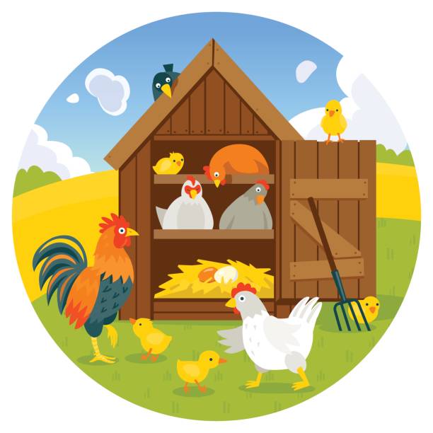 illustrazioni stock, clip art, cartoni animati e icone di tendenza di henhouse con uccelli divertenti su un prato verde illustrazione vettoriale - young bird landscape animal bird