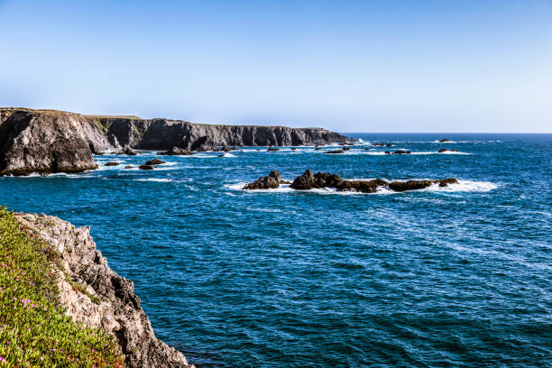 istock Northern California Coast 700254308