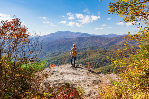 hombre en el borde de un acantilado - blue ridge mountains fotografías e imágenes de stock