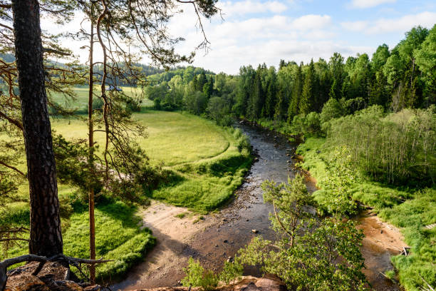 istock beautyful morning light over forest river 700262274